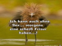 Eine h�ssliche Frisur