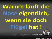 Die Nase l�uft