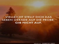 Motivationszitat im Sonnenaufgang