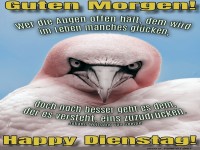 Vogelblick: Bereit fr den Dienstag?