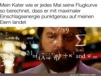 Kater's Flugschule fr Przisionslandungen
