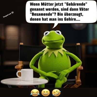 Kermit-fragt-die-wichtigen-Fragen!.jpg von Wilhelmine