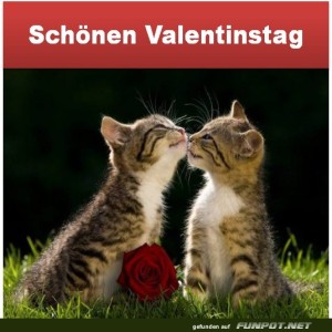 Valentinstag.jpg von Bastian