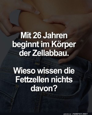 Ein-Hoch-auf-die-vergesslichen-Fettzellen!.jpg auf www.funpot.net