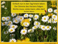 Einfach in den Tag leben