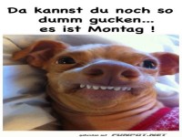 Es ist Montag