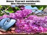 Neues Tier