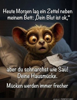 Wenn-M�cken-Feedback-geben.jpg auf www.funpot.net