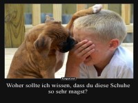 Wenn der Hund deine Modewahl infrage stellt...