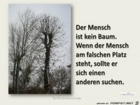 Der Mensch ist kein Baum