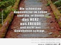 Die sch�nsten Augenblicke