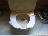 bekleidete Toilettenbrille