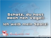 Schatz-Du-hast-einen-Vogel