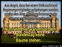 Darum stehen vor dem Bundestag keine Baeume