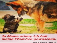 Guck ich habe meine Pf�tchen gewaschen