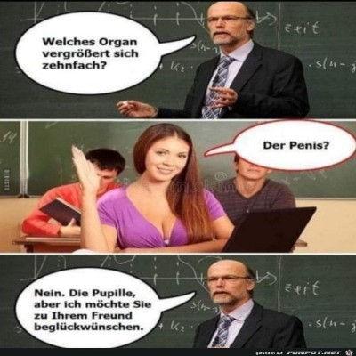 Welches-Organ.jpg von Keule56