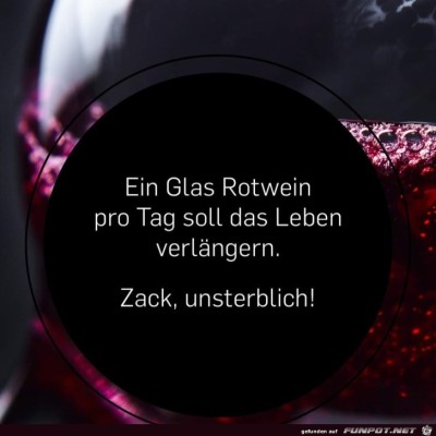 Unsterblich.jpg von babs