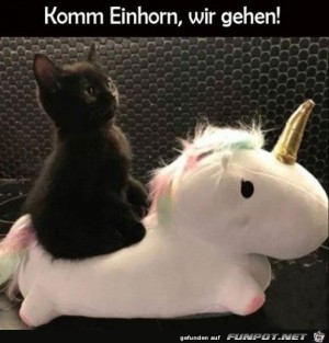 Lass-uns-gehen.jpg auf www.funpot.net