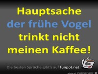 Der frühe Vogel