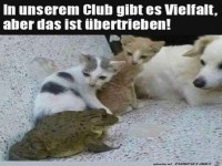 Das ist übertrieben