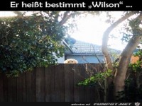 Er hei�t sicher Wilson