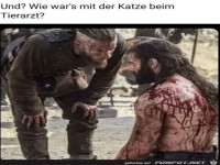 Wie wars mit der Katze beim Tierarzt?