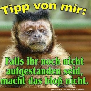 fun-Bild: Bleib liegen