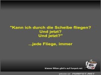 Kann ich durch die Scheibe fliegen?