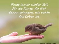 Finde immer wieder Zeit