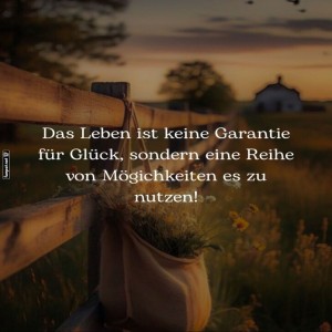 Pferdekoppel-oder-Philosophiestunde?.jpg von Louisa