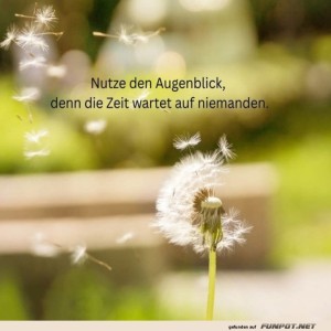 Pusteblume:-Der-Zeitplaner-der-Natur!.jpg von Benno-2011