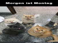 Morgen ist Montag