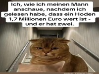 Die millionenschwere Entdeckung