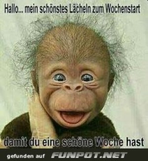 Ein-L�cheln-zum-Wochenstart.jpg auf www.funpot.net