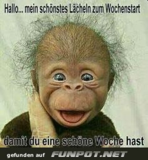Ein-L�cheln-zum-Wochenstart.jpg auf www.funpot.net
