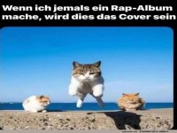 Rap-Album der Katzen: Das perfekte Cover!