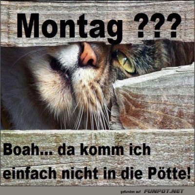 Montag.jpg von Joeline