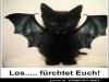 weiter