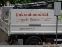 Unkraut verdirbt