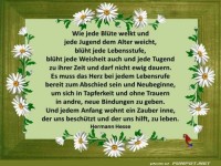 Wie jede Bluete welkt