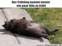 Ein paar Kilo zu frh