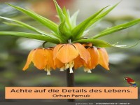 Achte auf die Details