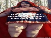 Der Wolf