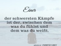 Einer