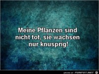 Sch�ne Umschreibung