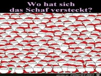 wo hat sich das Schaf versteckt ?