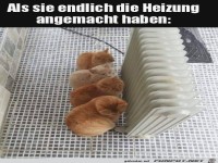 Endlich wird geheizt