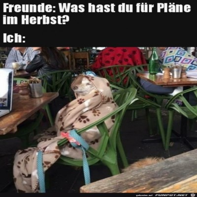 Was-machst-du-im-Herbst?.jpg von Harald48