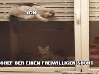 Da kann er lange suchen