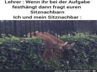 Sitznachbar hängt auch fest